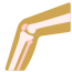Joint Mobility