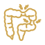 Manage IBS